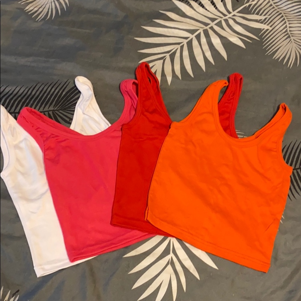 Bundle of Crop Tops #1